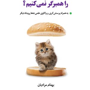 کتاب چرا چربه خانگی مان را همبرگر نمی‌کنیم نوشته بهنام مرادیان